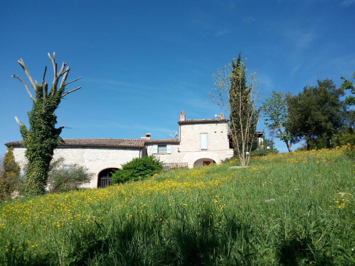 Agriturismo Del Frontino - Lo Studio Acqualagna Exterior photo
