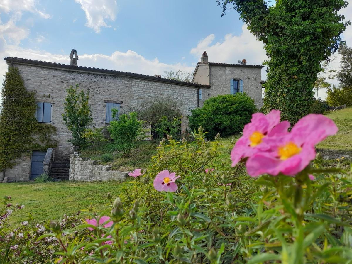 Agriturismo Del Frontino - Lo Studio Acqualagna Exterior photo