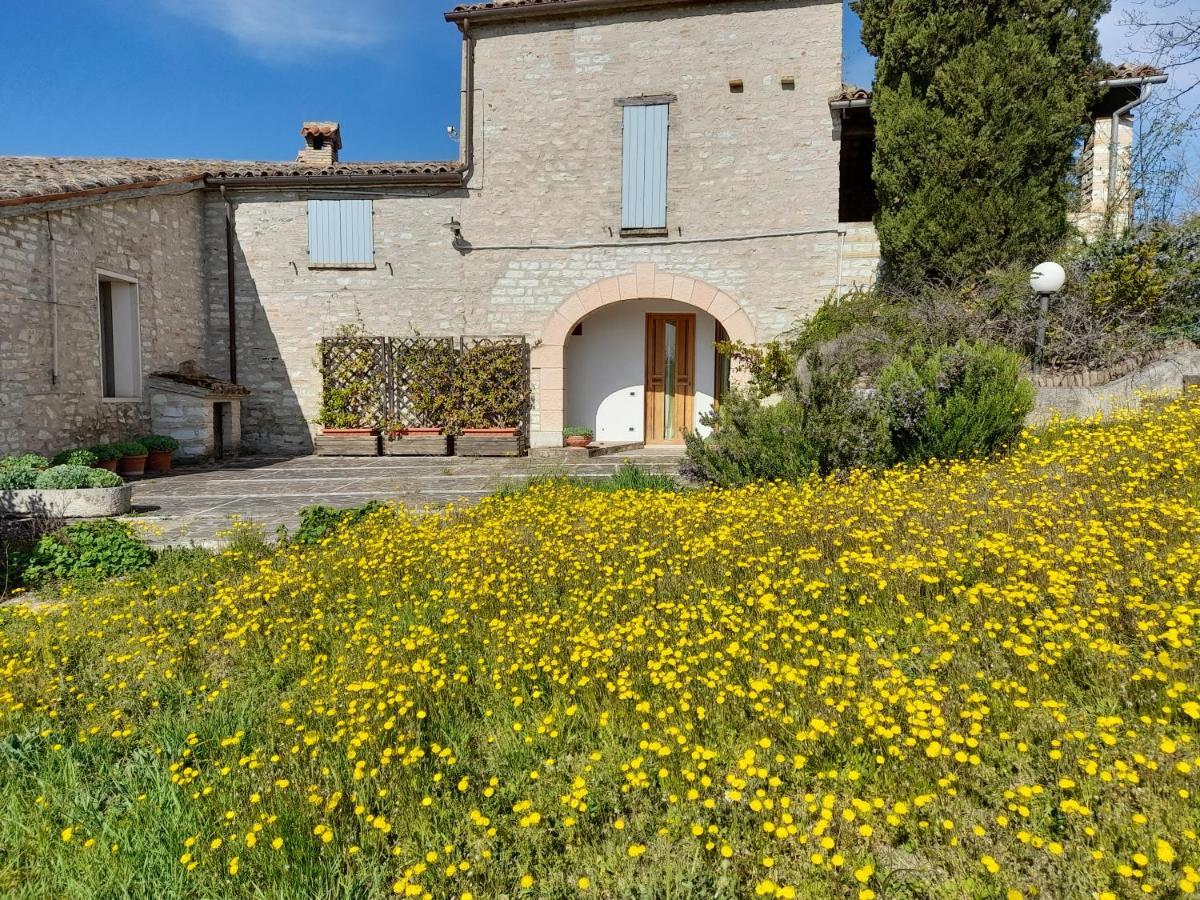 Agriturismo Del Frontino - Lo Studio Acqualagna Exterior photo