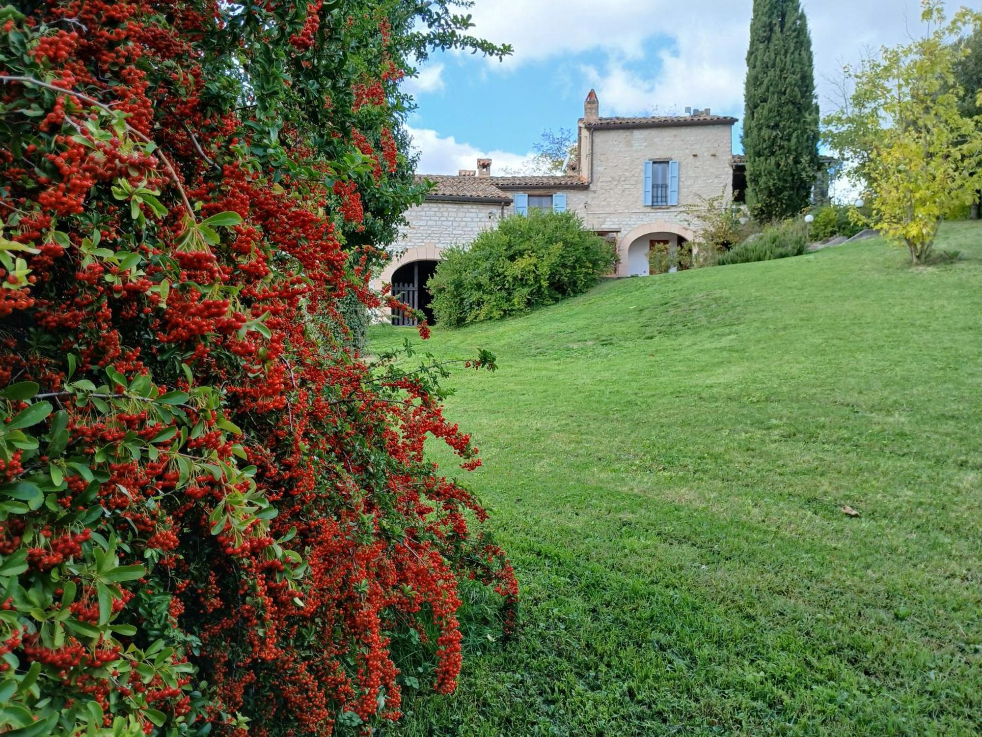 Agriturismo Del Frontino - Lo Studio Acqualagna Exterior photo